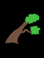 bois (arbre)