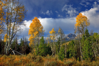 autunno