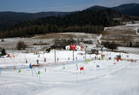 bunny hill, bunny slope