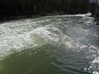 rapid
