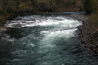 rapid