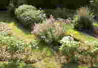 patch