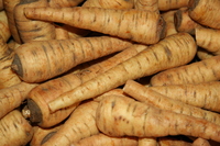 parsnip