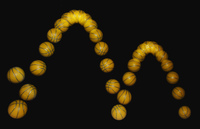trajectoire